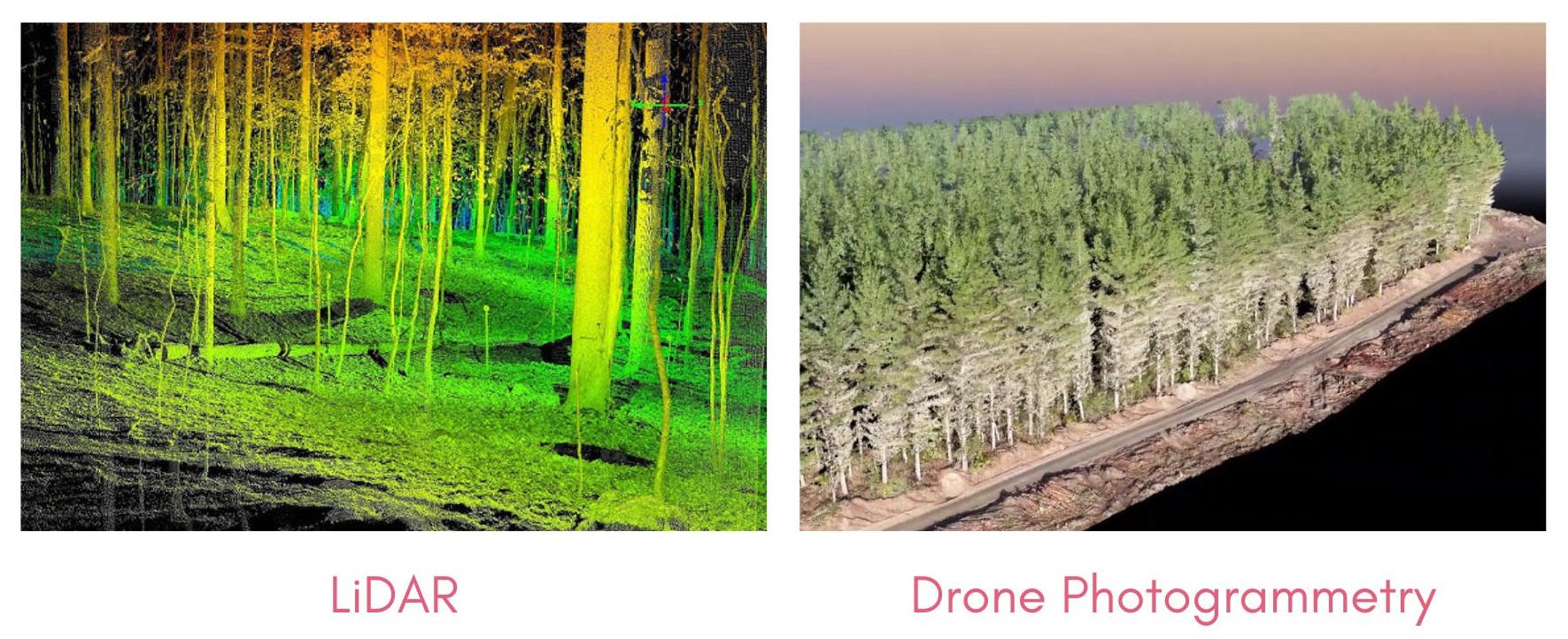 Lidar vs drone photogrammetry