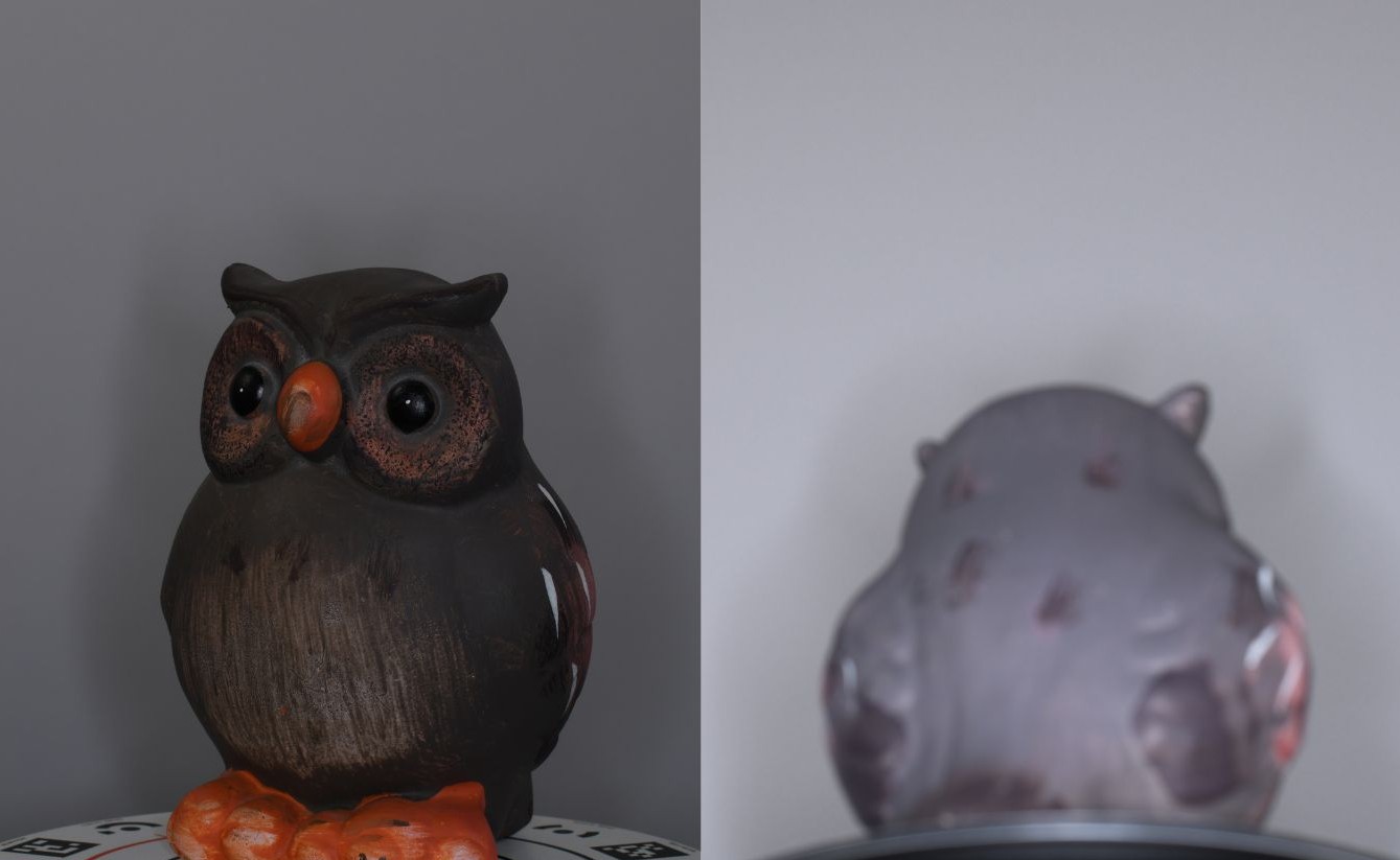 Owl photogrammetry photo