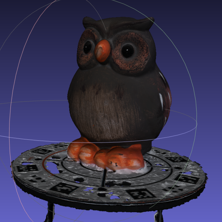 Final owl